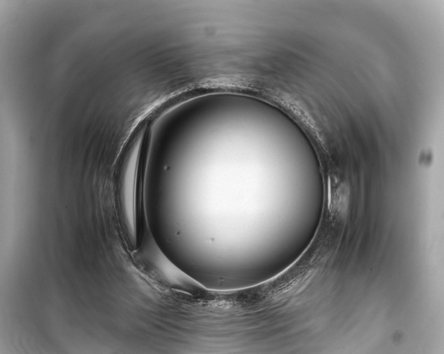 X0000099430204200805161118