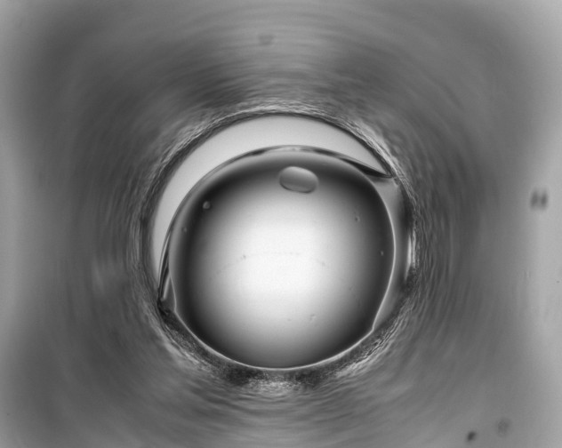 X0000099430205200805161118