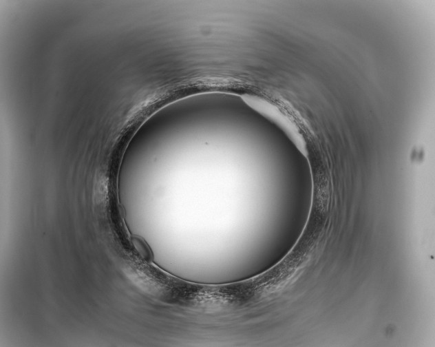 X0000099430207200805161118