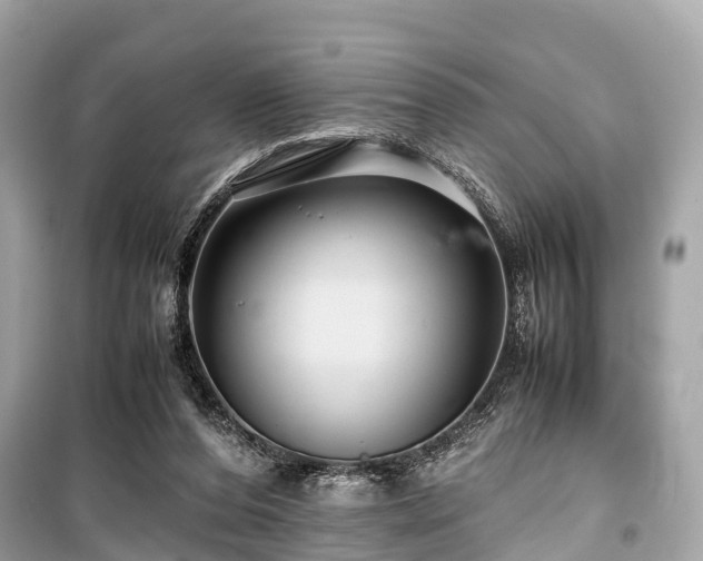 X0000099430208200805161118