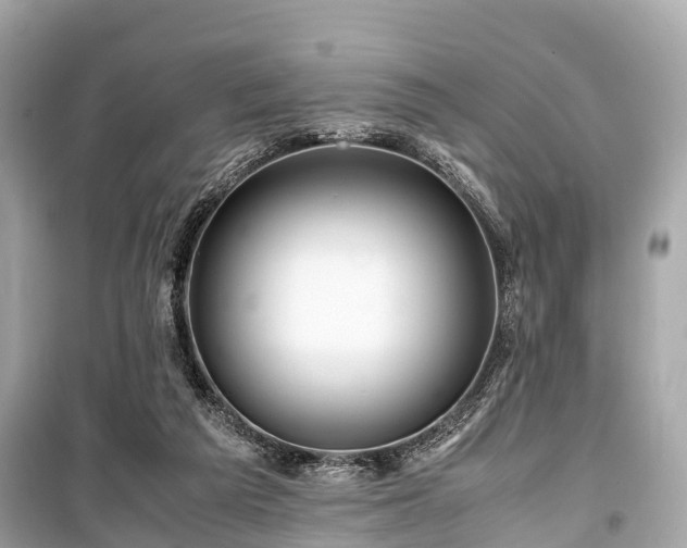 X0000099430209200805161118