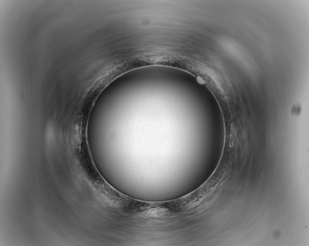 X0000099430210200805161118