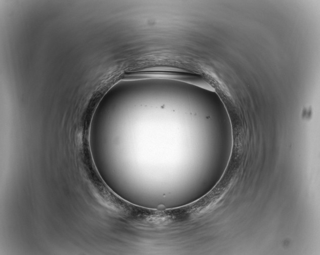 X0000099430213200805161118