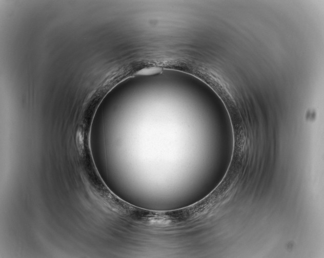 X0000099430214200805161118