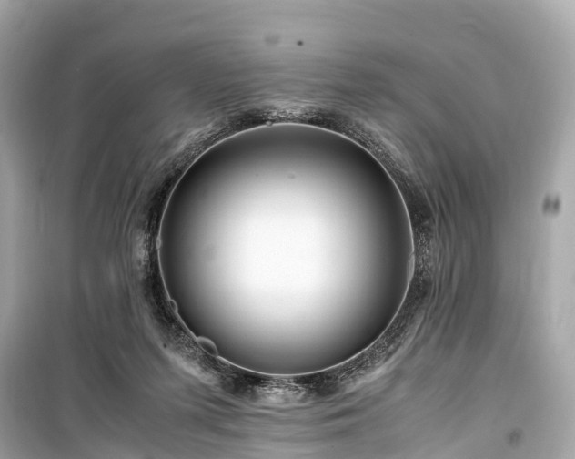 X0000099430215200805161118