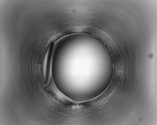 X0000099430216200805161118