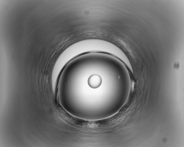 X0000099430217200805161118