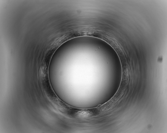 X0000099430218200805161118