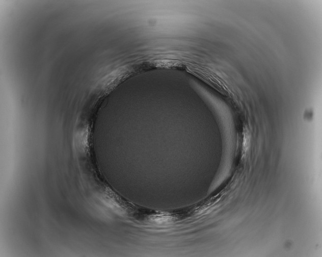 X0000099430219200805161118