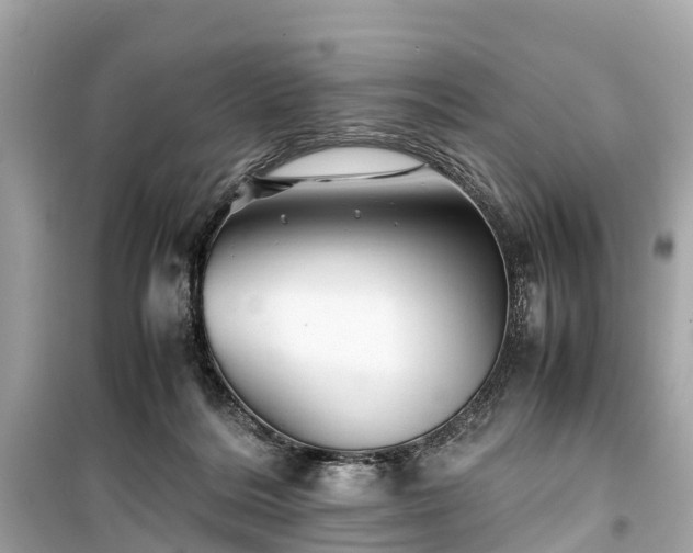 X0000099430220200805161118