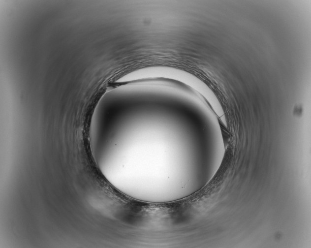 X0000099430221200805161118