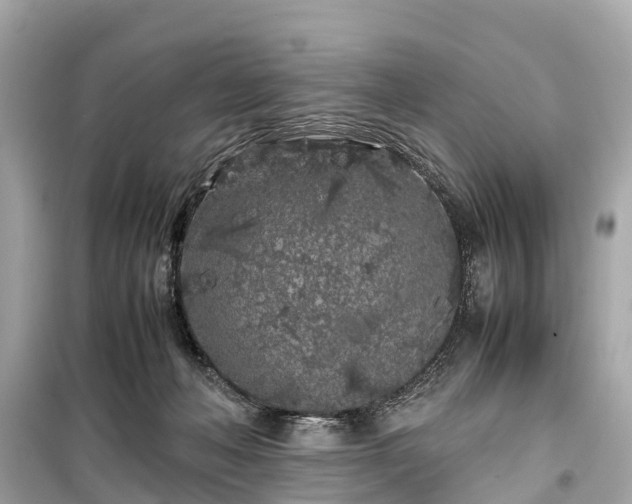 X0000099430222200805161118