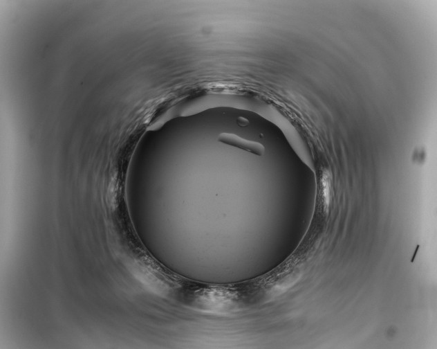 X0000099430223200805161118