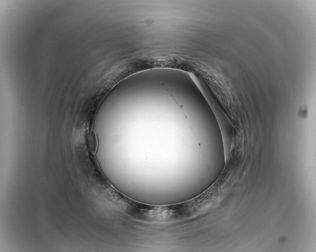 X0000099430225200805161118