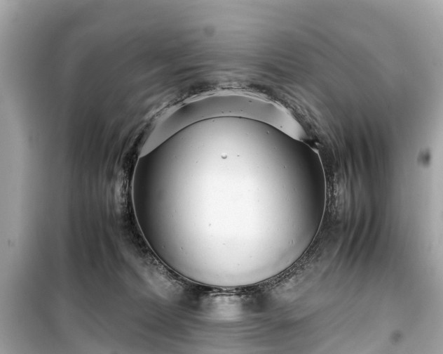 X0000099430228200805161118
