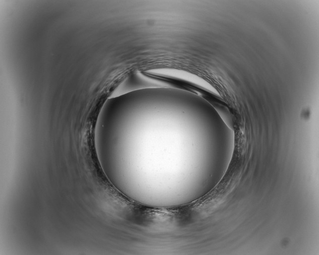 X0000099430229200805161118