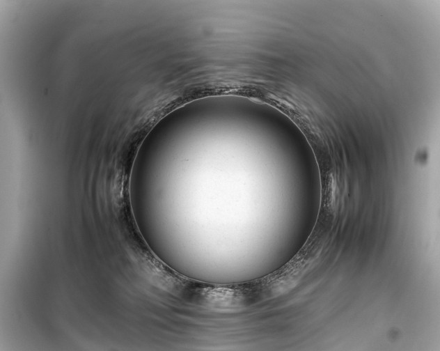 X0000099430230200805161118