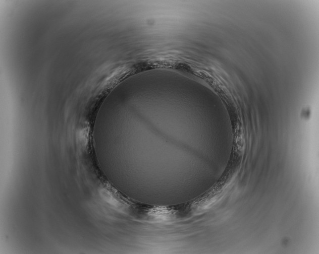X0000099430231200805161118