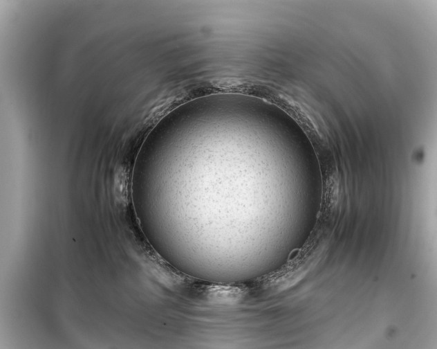 X0000099430234200805161117