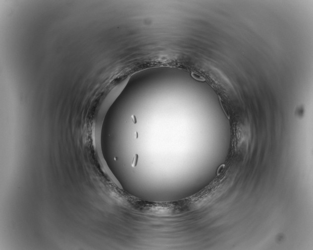 X0000099430236200805161117