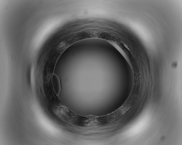 X0000099430239200805161117