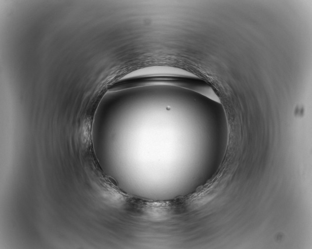 X0000099430240200805161117