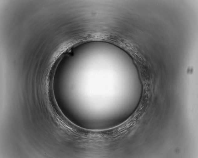 X0000099430242200805161117