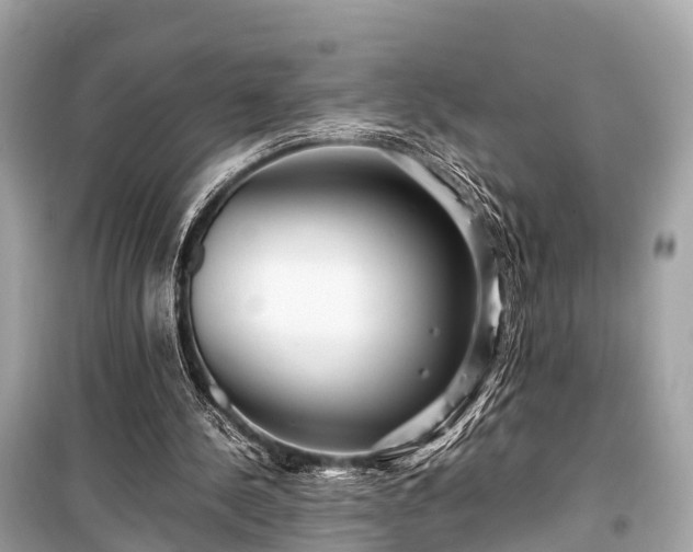 X0000099430244200805161117
