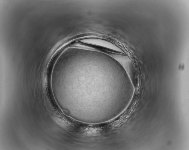 X0000099430247200805161117