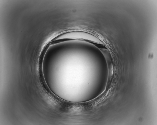 X0000099430248200805161117