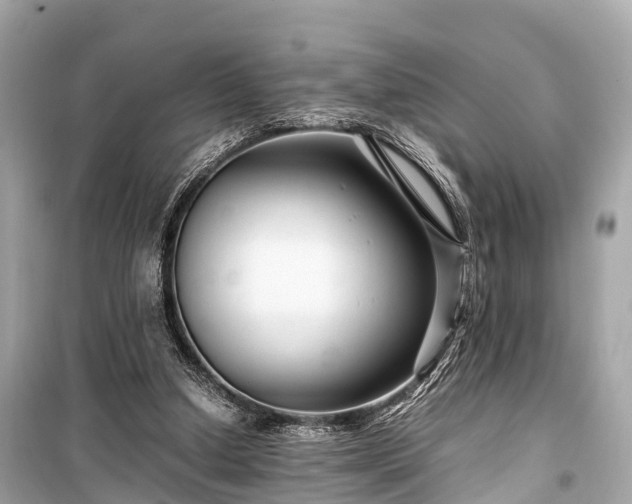X0000099430250200805161117