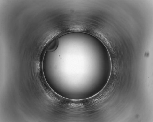 X0000099430251200805161117