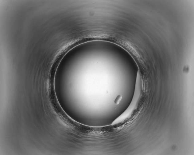 X0000099430252200805161117