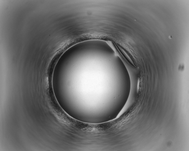 X0000099430254200805161117