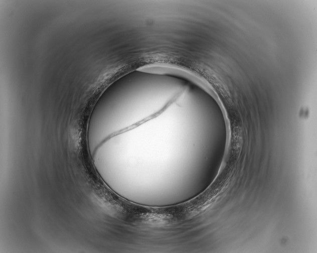 X0000099430255200805161117