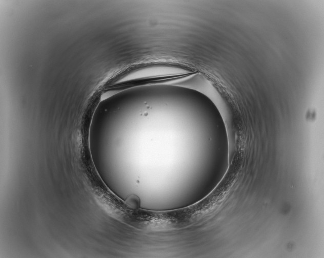 X0000099430256200805161117