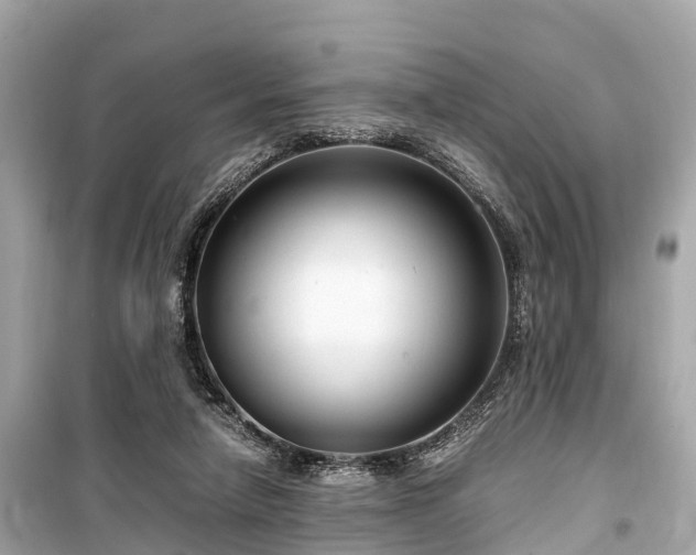 X0000099430258200805161117