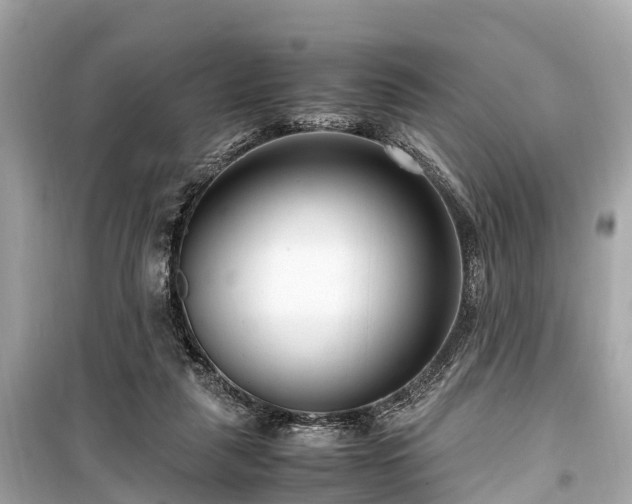 X0000099430259200805161117