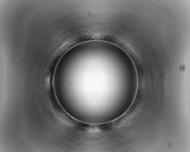 X0000099430262200805161117