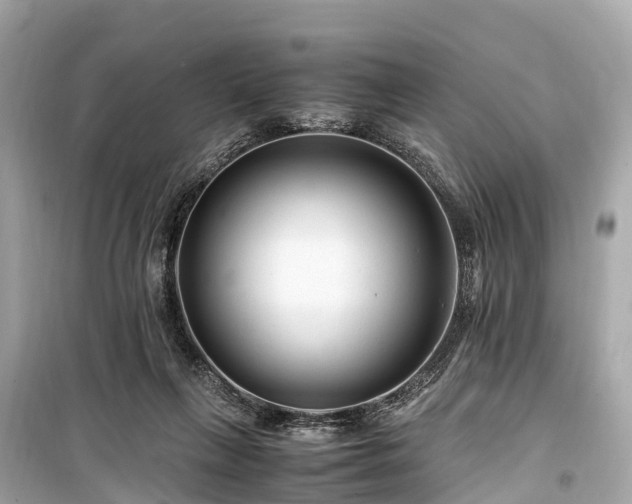 X0000099430263200805161117