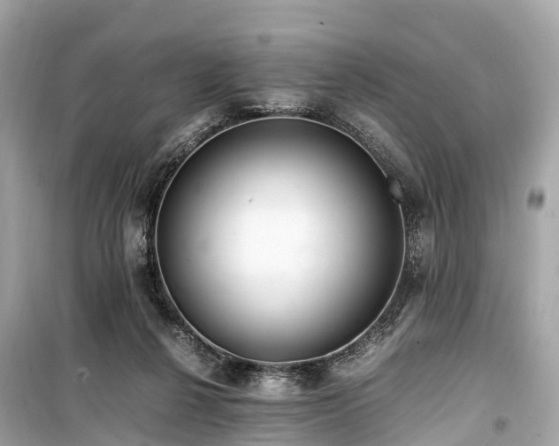X0000099430264200805161117