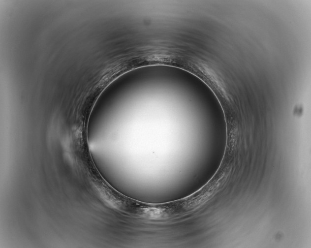 X0000099430265200805161117