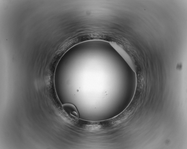 X0000099430266200805161117