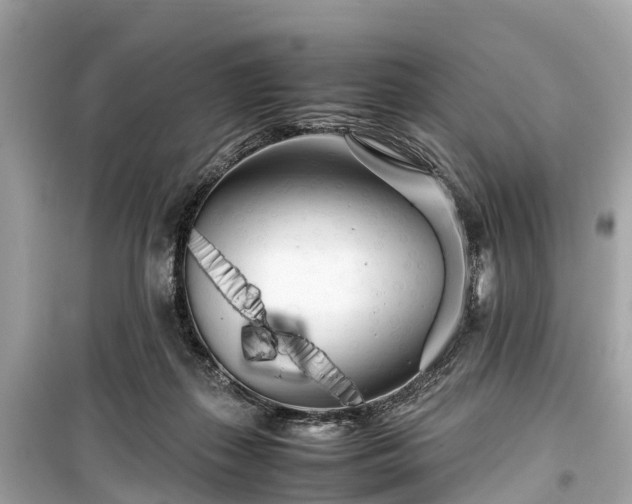 X0000099430267200805161117
