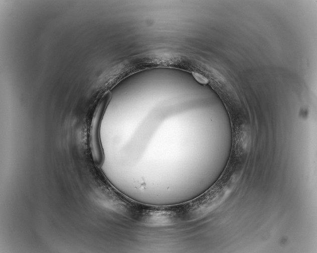 X0000099430268200805161117