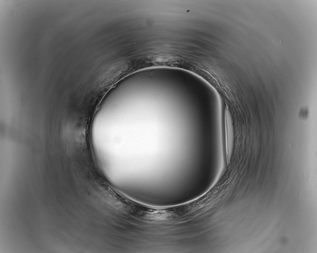 X0000099430269200805161117