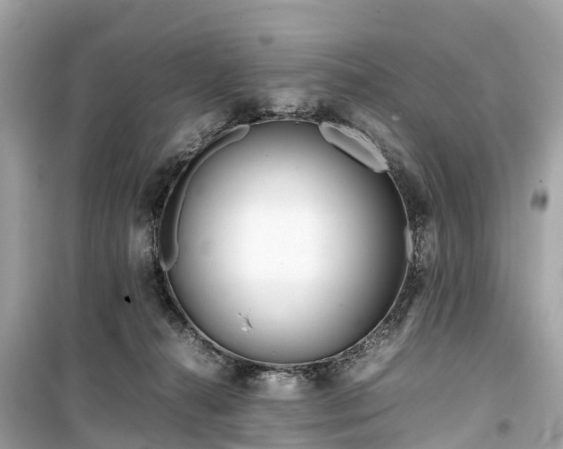 X0000099430272200805161117