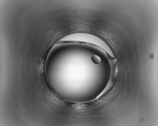 X0000099430273200805161117