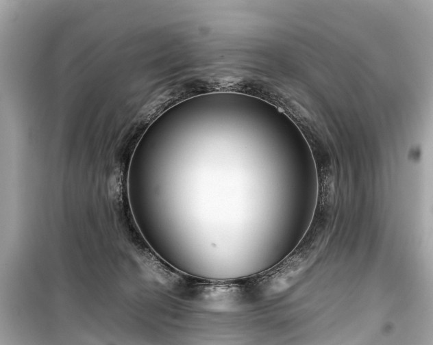 X0000099430274200805161117