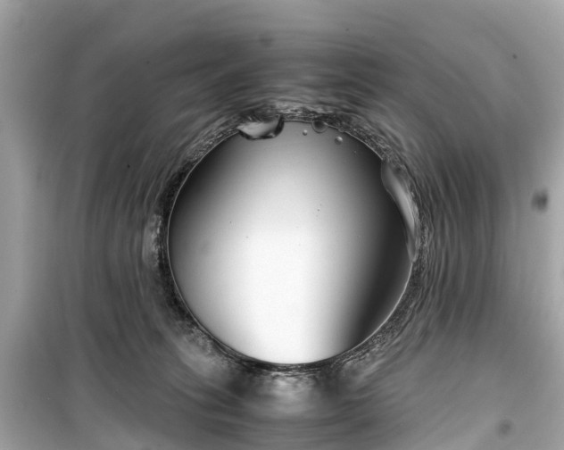 X0000099430275200805161117
